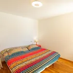 Apartment Apartamentos Formigal