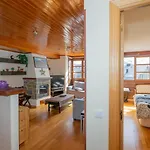 Apartamentos Formigal Apartment Formigal