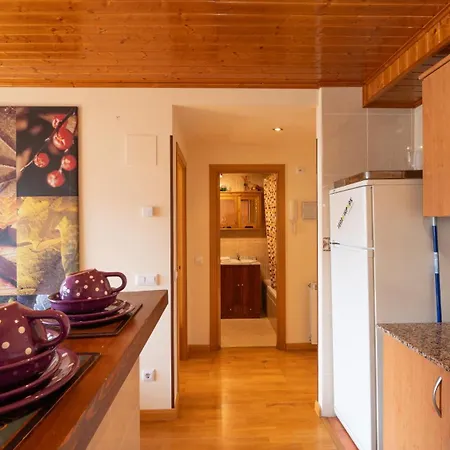 Apartamento Apartamentos Formigal Formigal